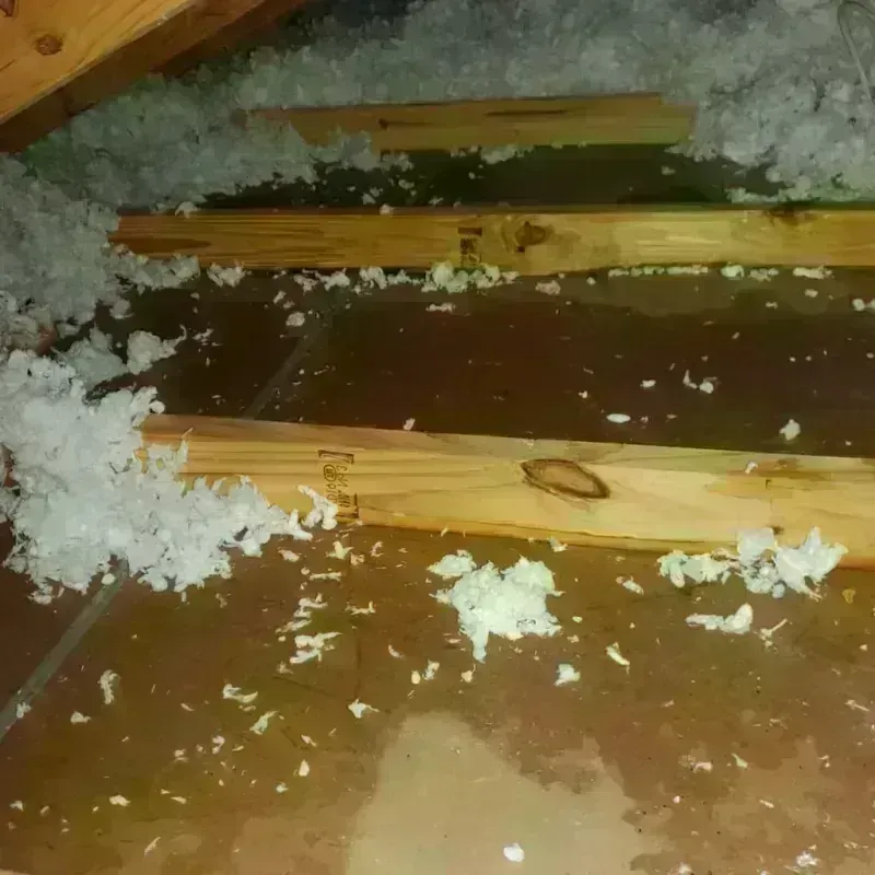 Attic Water Damage in Guilford Siding, PA